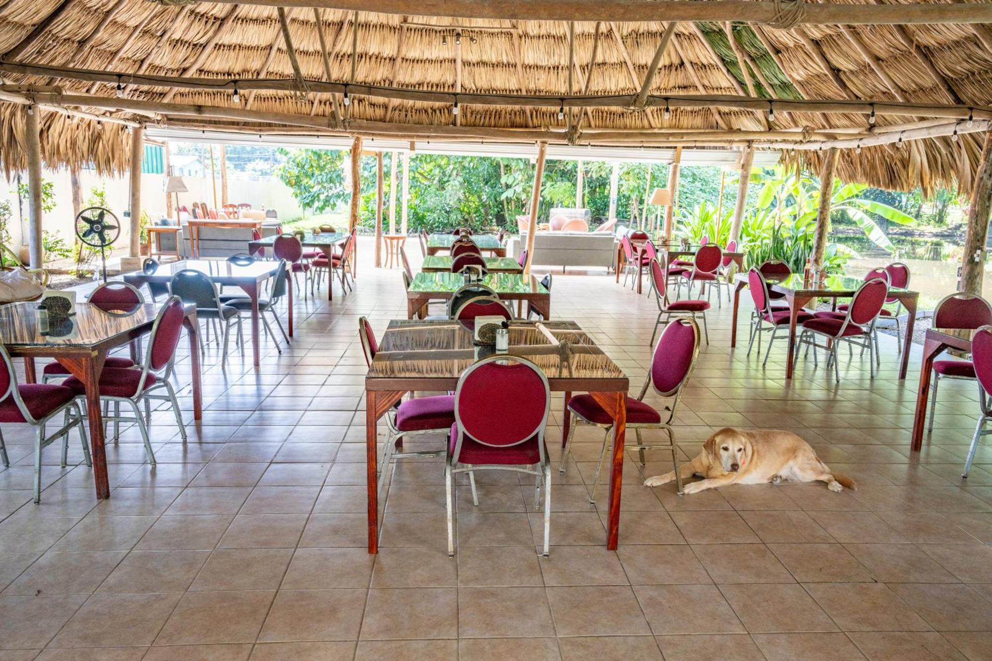Drift Inn Cayo Santa Elena Kültér fotó
